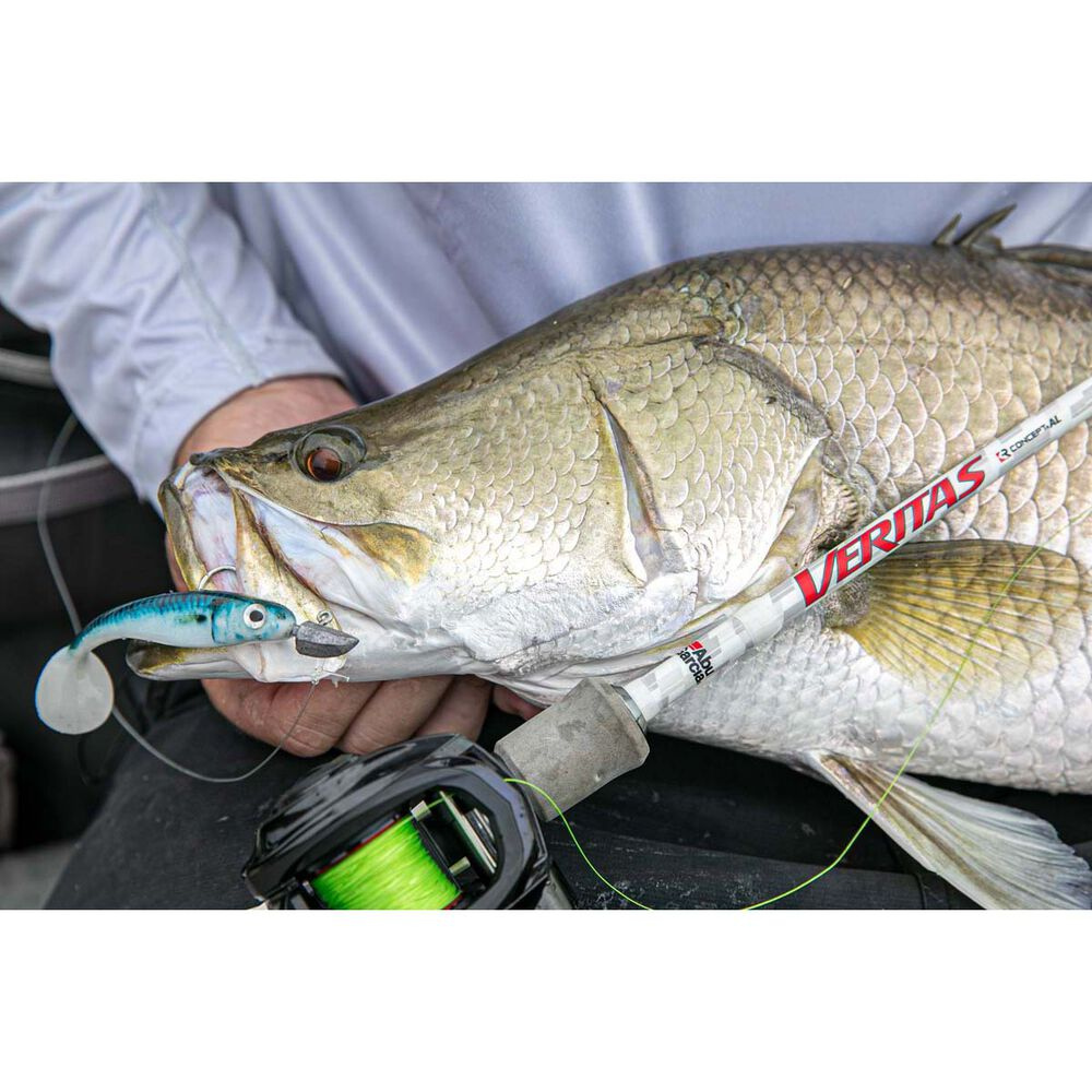Abu Garcia Veritas 4.0 Spin Jigging Rod – Boss Outdoor