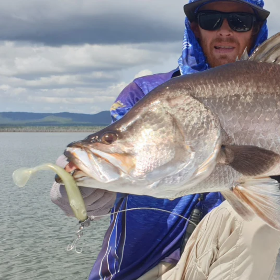 Barambah Barra Jighead