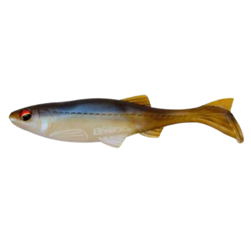 Biwaa Kapsiz Swimmer