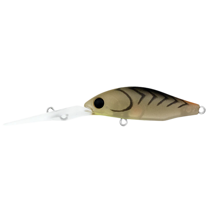 Daiwa Infeet Spike 44EXDR