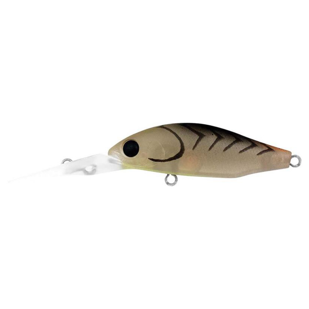 Daiwa Infeet Spike 44MR