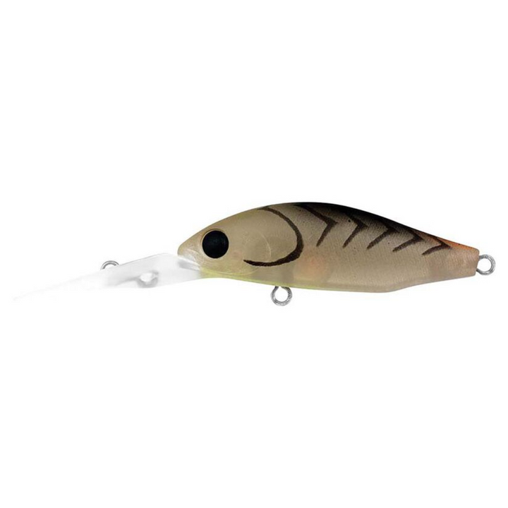 Daiwa Infeet Spike 44MR