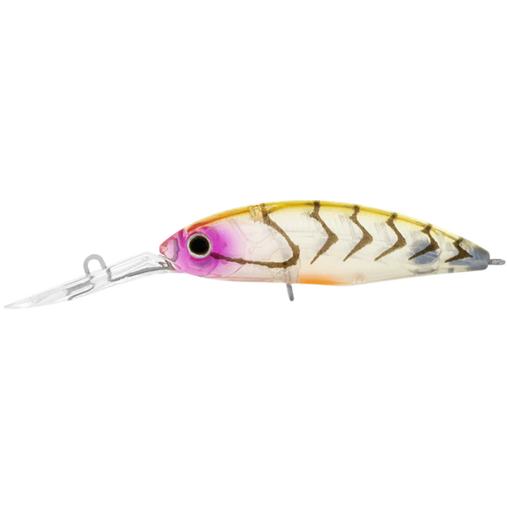 Daiwa Infeet Spike 53SP