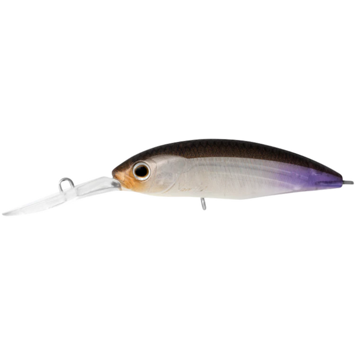 Daiwa Infeet Spike 53SP