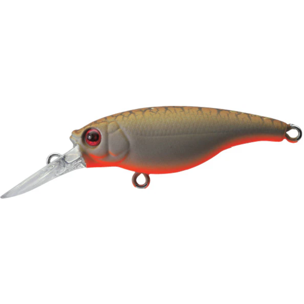 Ecogear SX 40F Lure