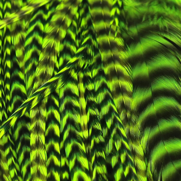 Hareline Half Grizzly Saddle Feathers
