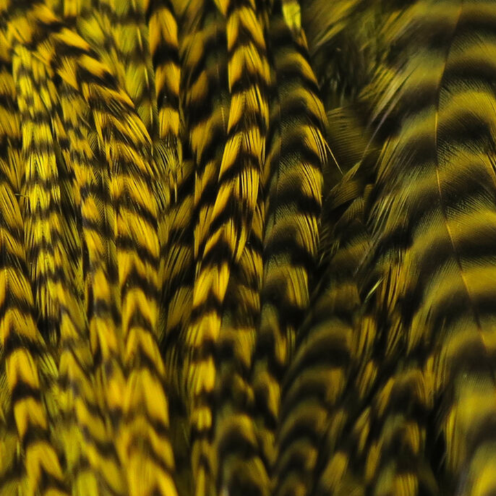 Hareline Half Grizzly Saddle Feathers
