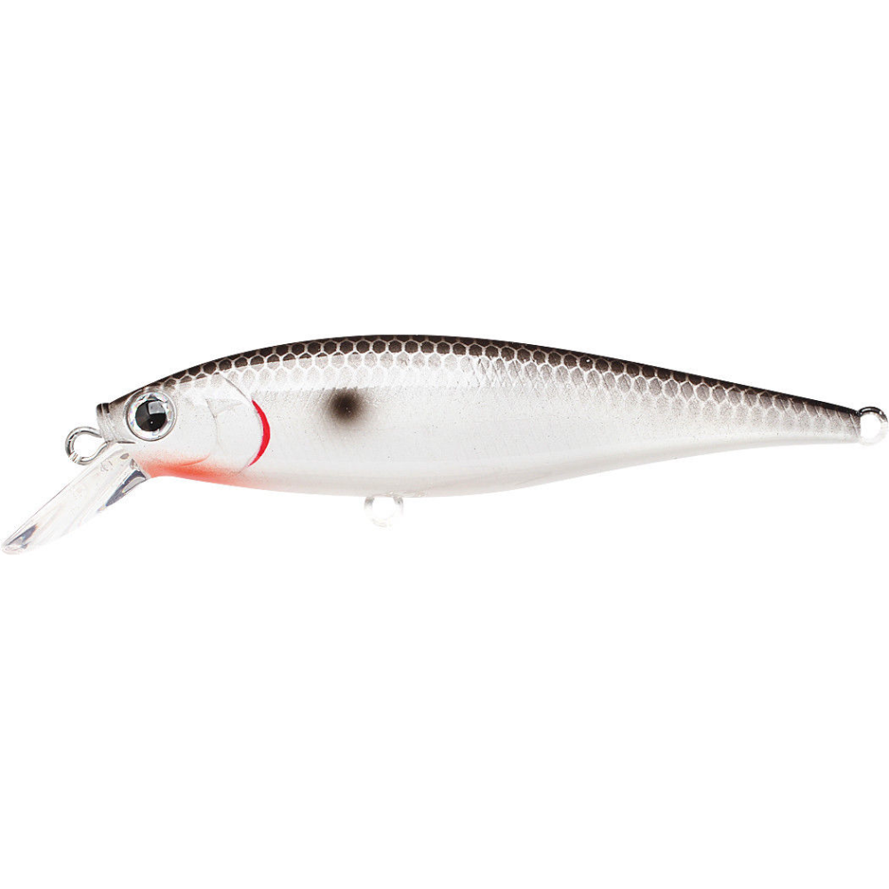 Lucky Craft Pointer 78SP Lure – Boss Outdoor