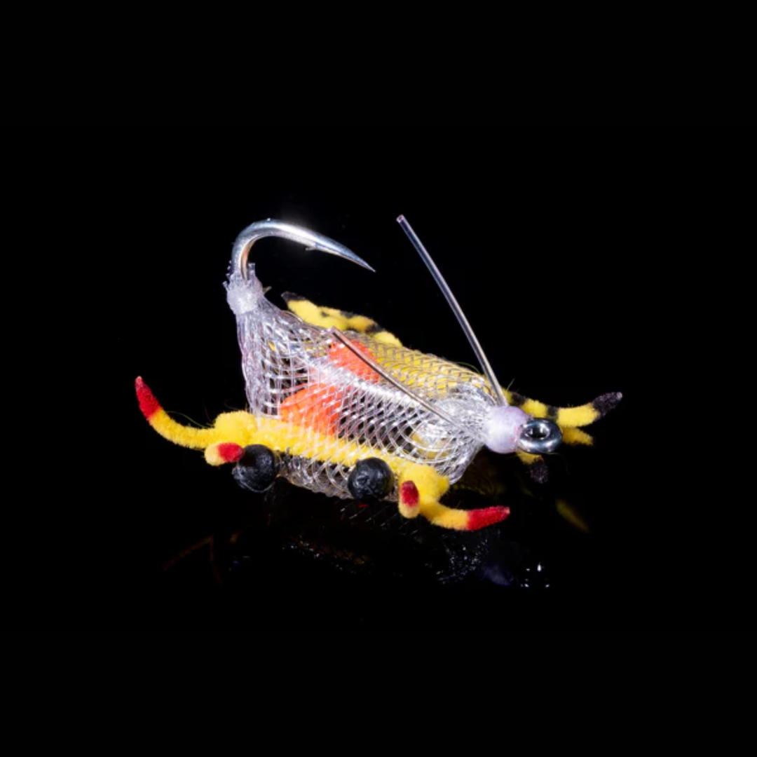 Alphlexo Crab - Clear / Yellow