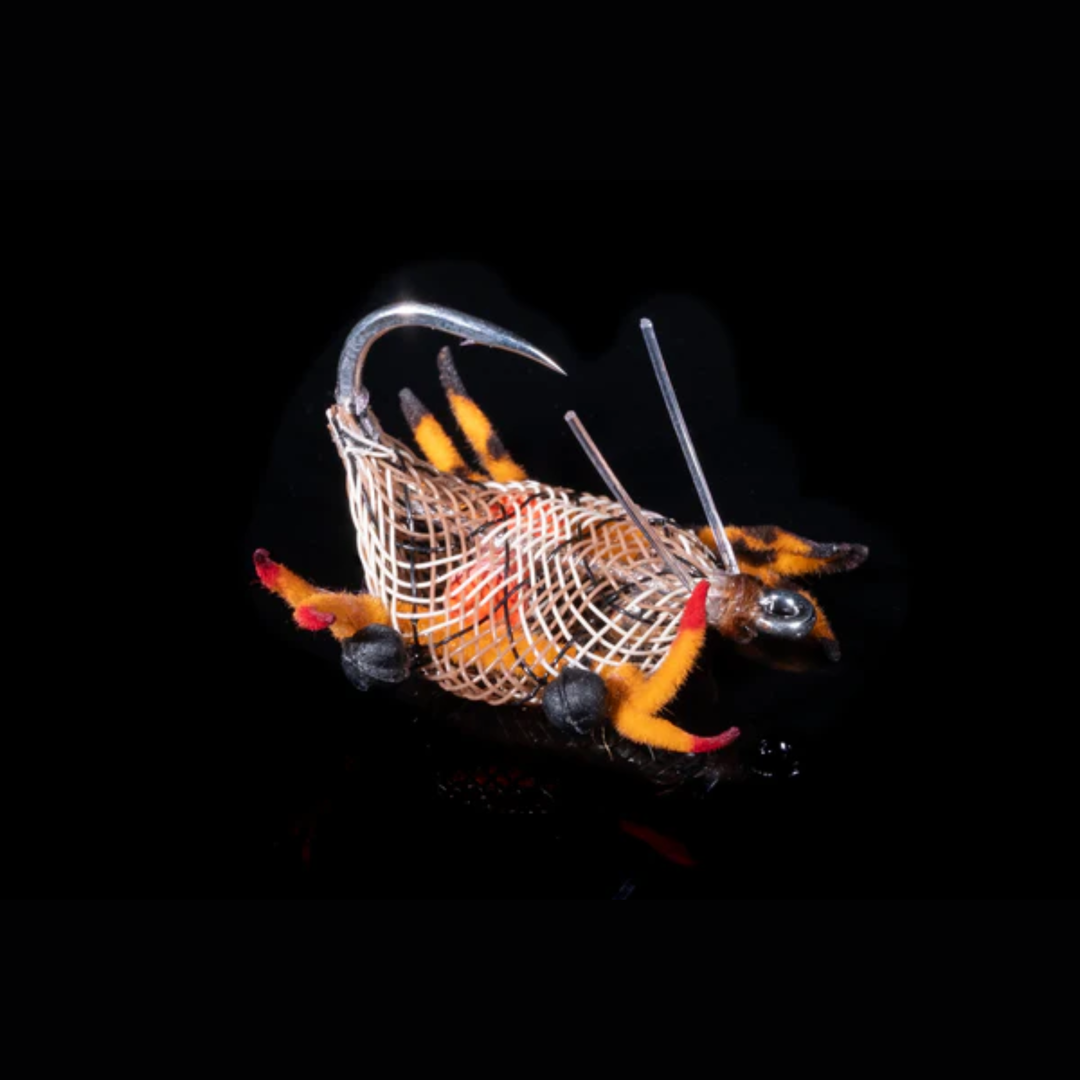 Alphlexo Crab - Snake / Orange