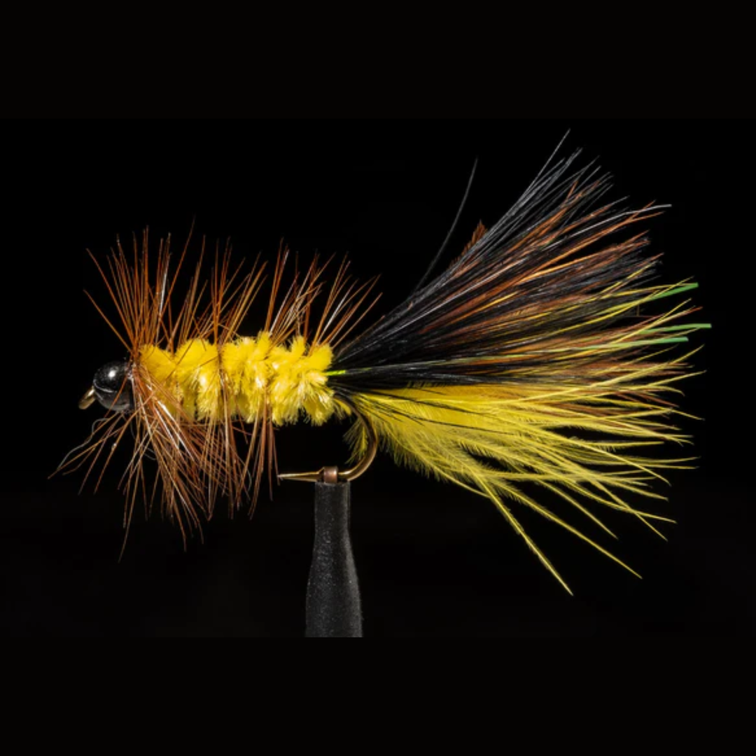BH Cleveland Streamer