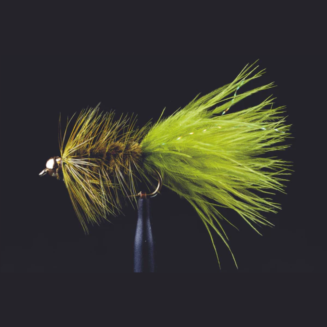 BH Woolly Bugger Olive