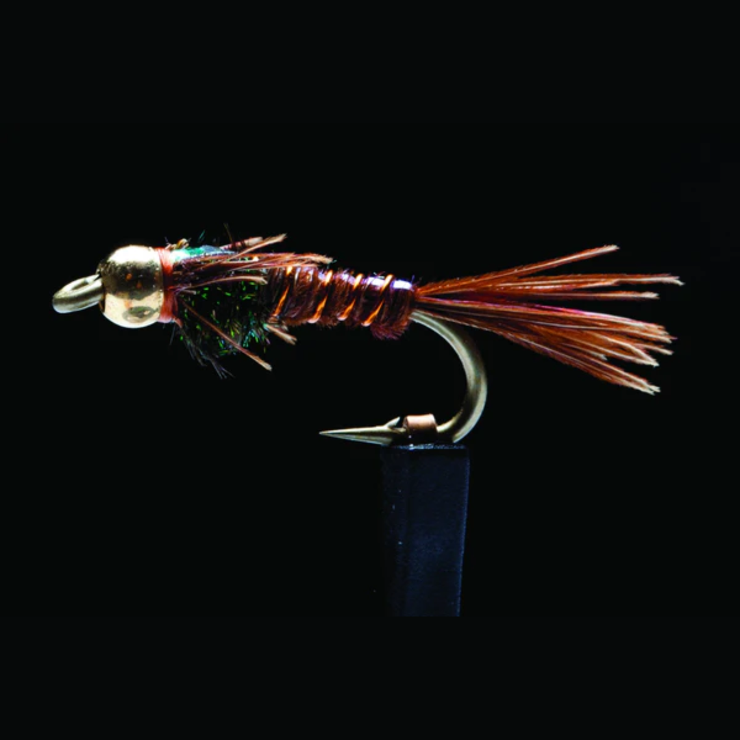 BH Pheasant Tail Flashback