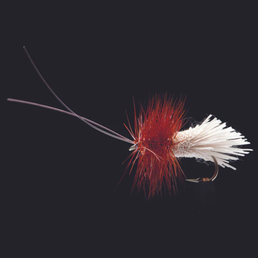 Goddards Caddis