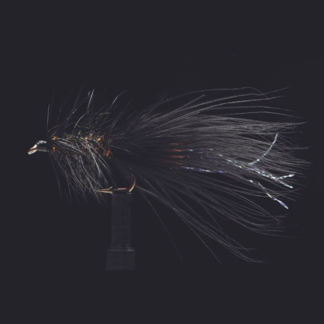 Little Bugger - Black and Peacock