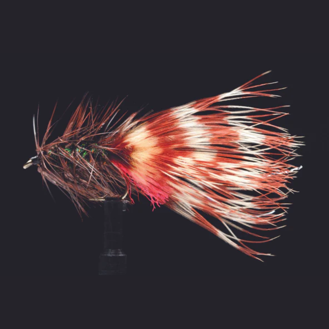Little Bugger - Brown and Peacock