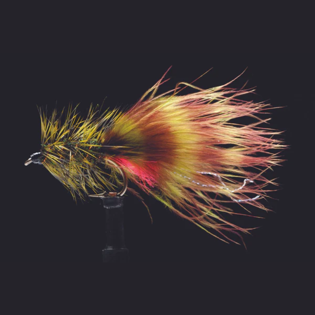 Little Bugger - Olive and Peacock