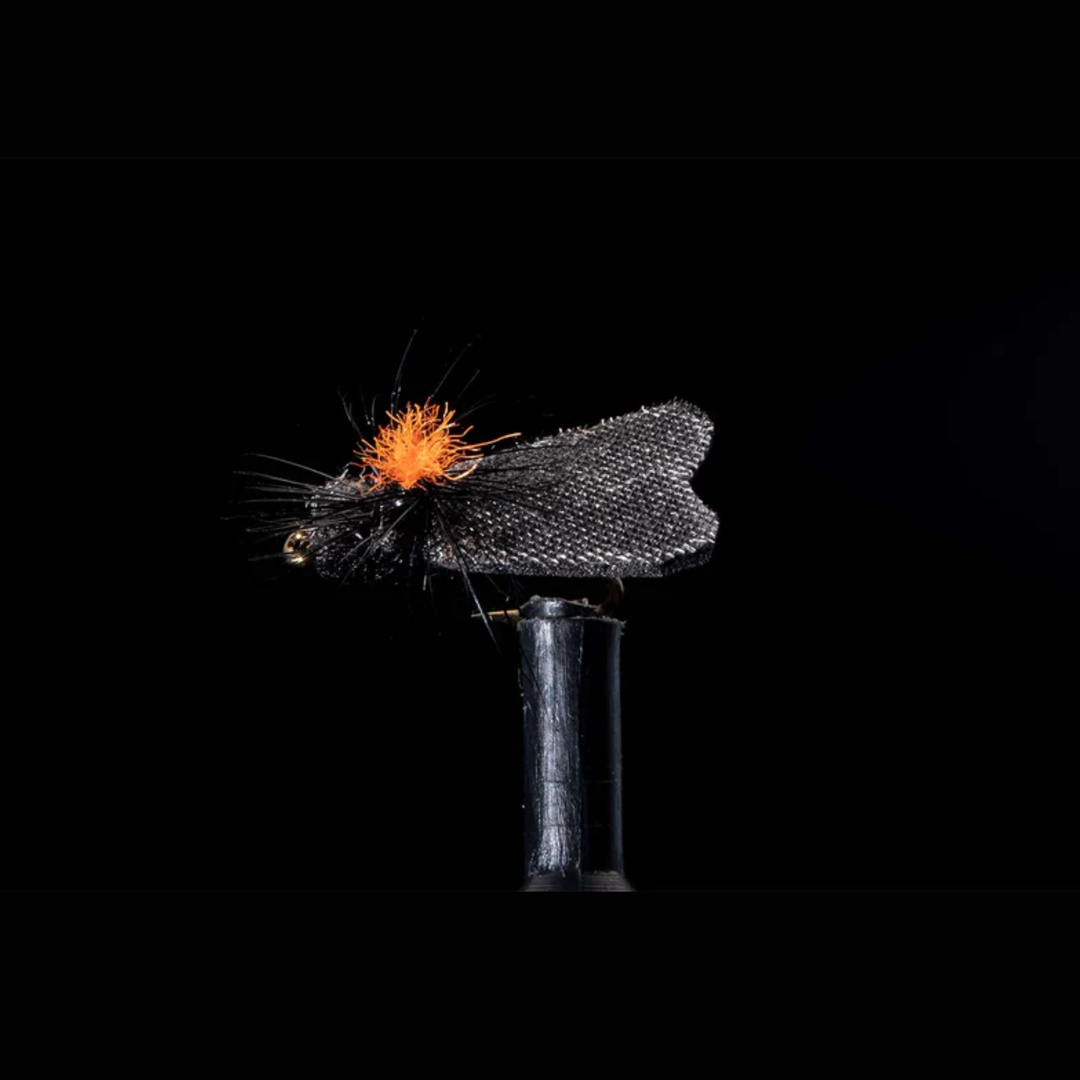 Low Light Caddis - Black