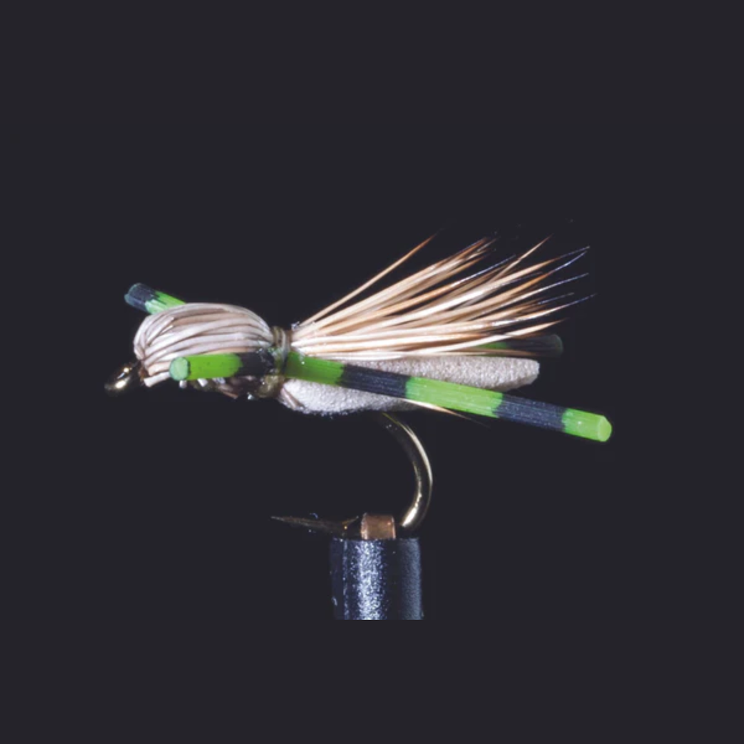 Micro Hopper Green