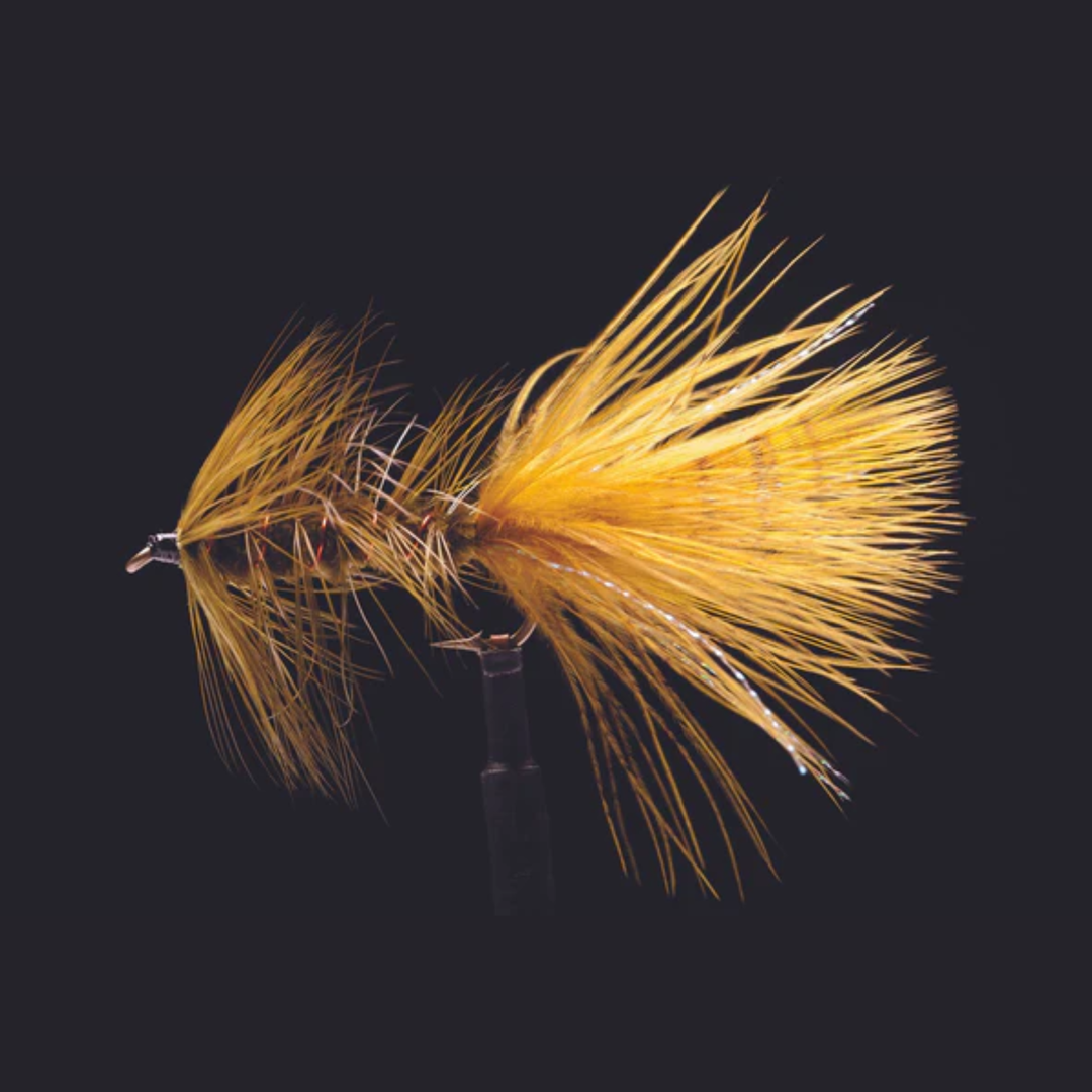 Woolly Bugger Olive
