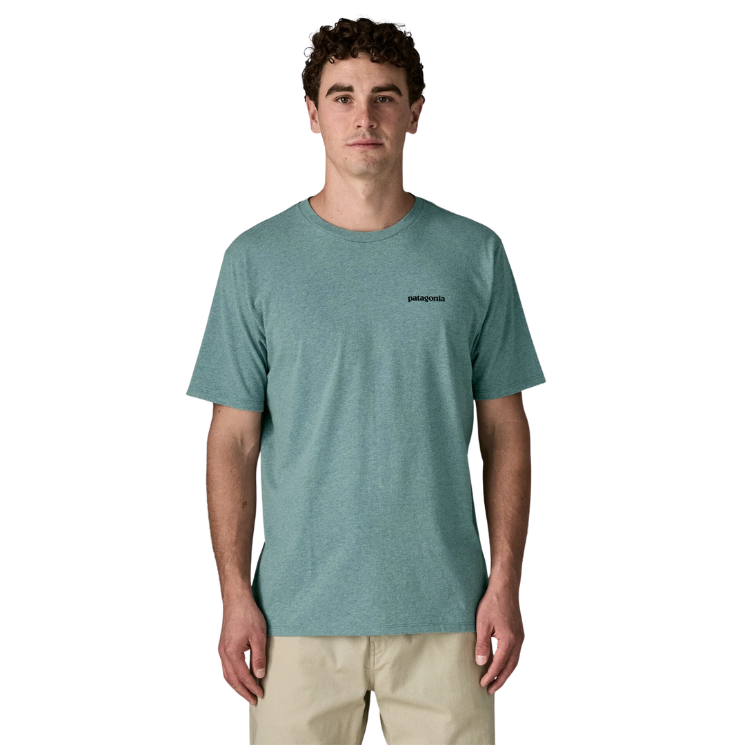 Patagonia Mens Take a Stand Responsibili-Tee