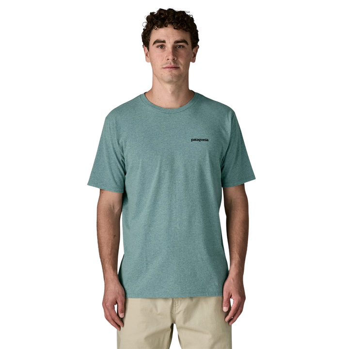Patagonia Mens Take a Stand Responsibili-Tee