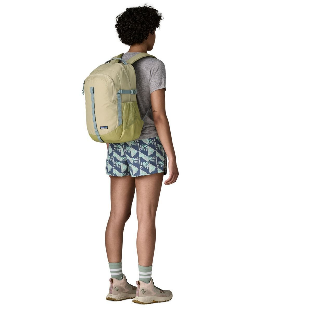 Patagonia Refugio Day Pack