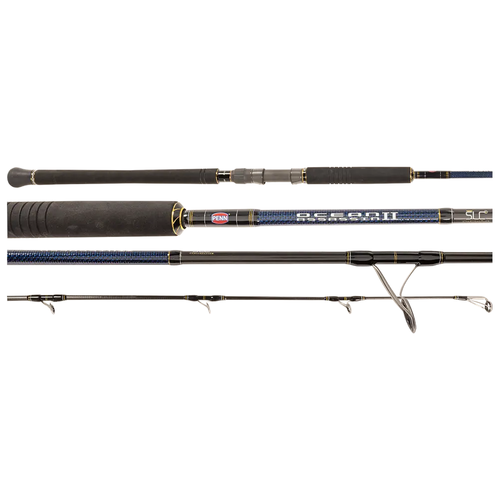 Penn Ocean Assassin II Spin Rod