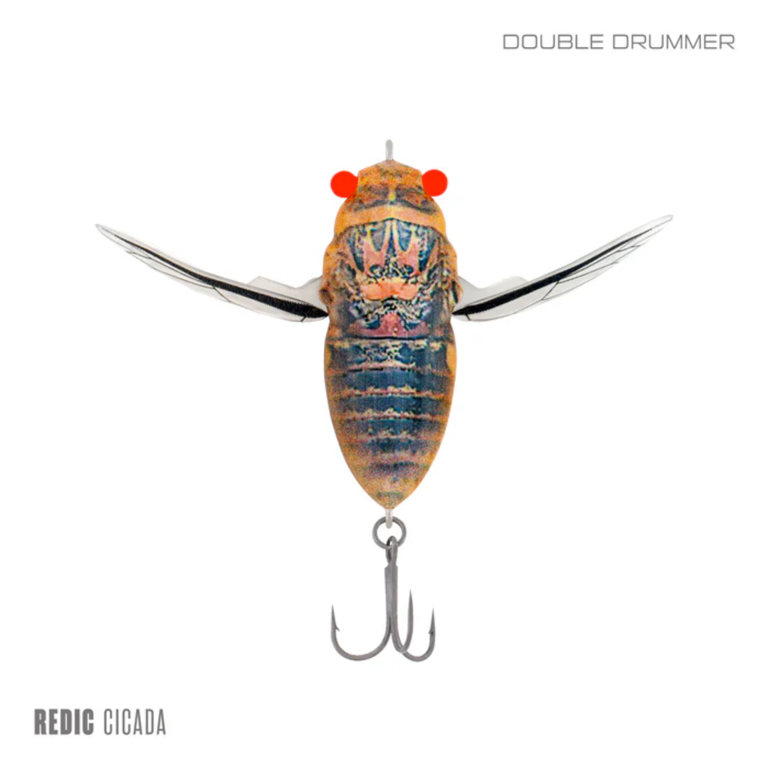 Samaki Redic Cicada