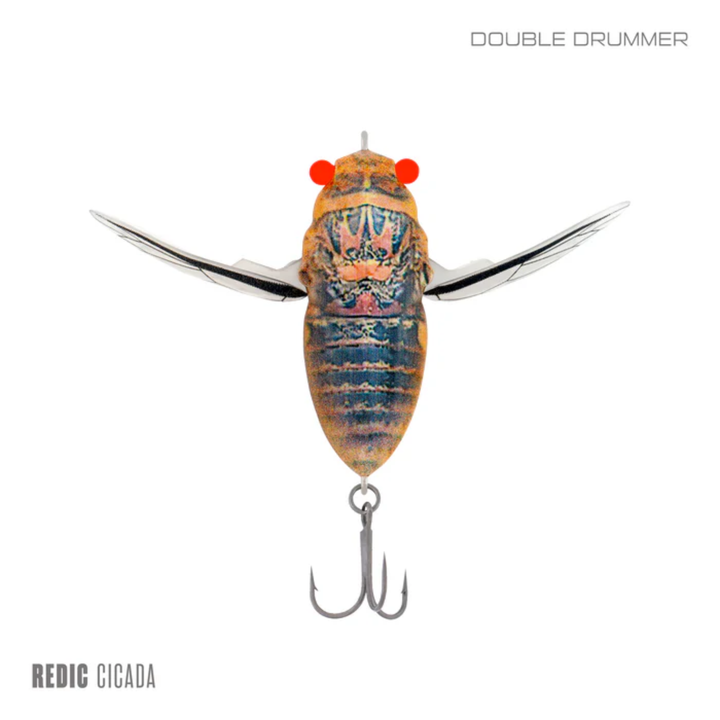 Samaki Redic Cicada