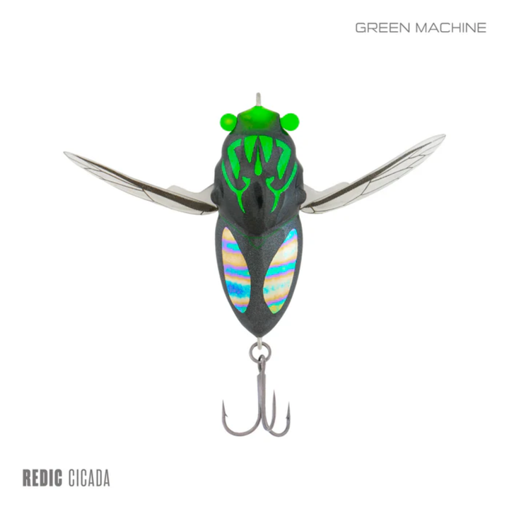 Samaki Redic Cicada
