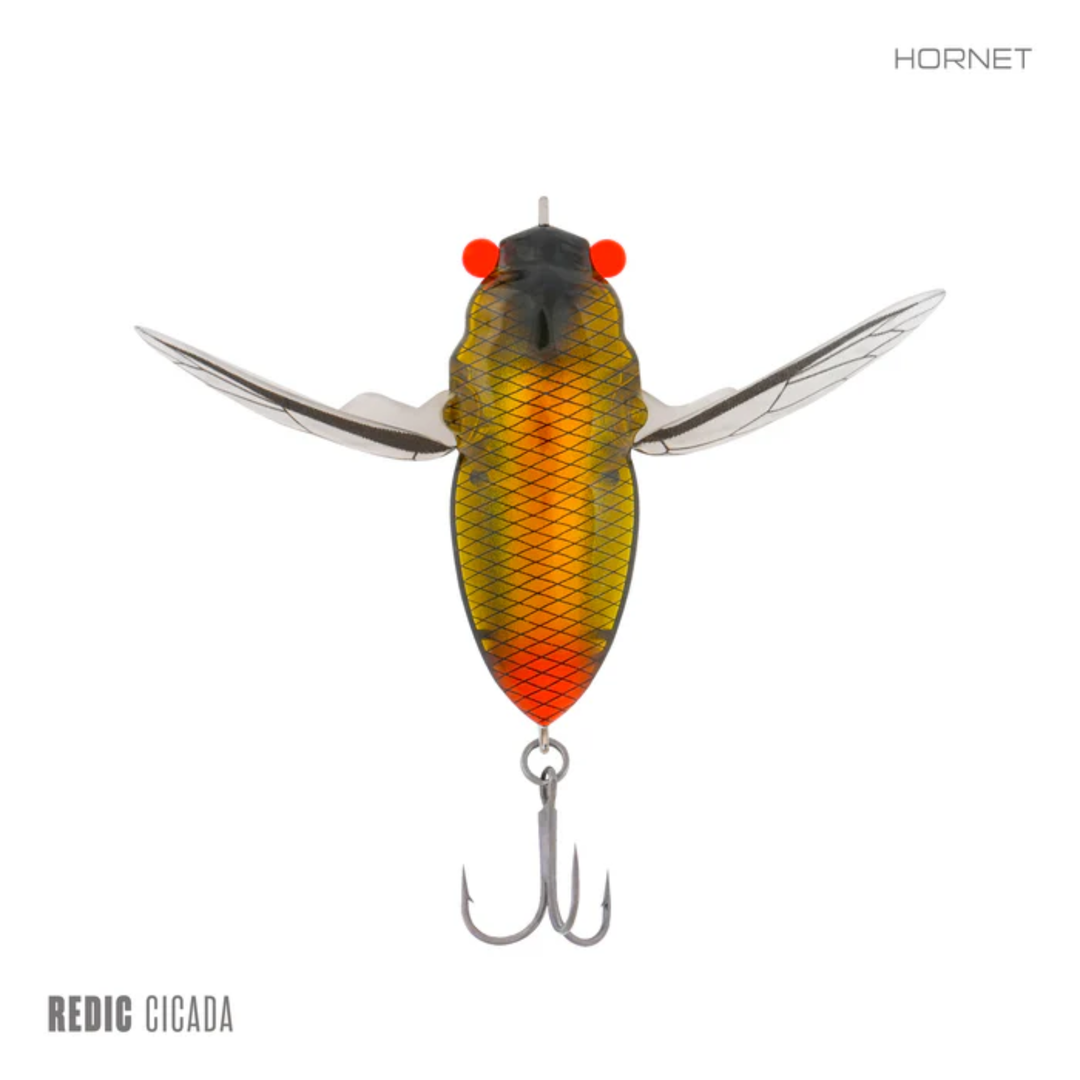 Samaki Redic Cicada
