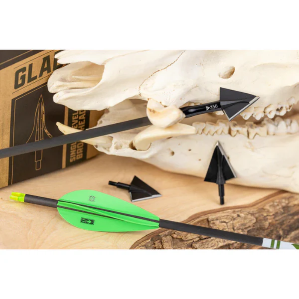 Terra Firma Fortis T1 Fletched Arrows Dozen