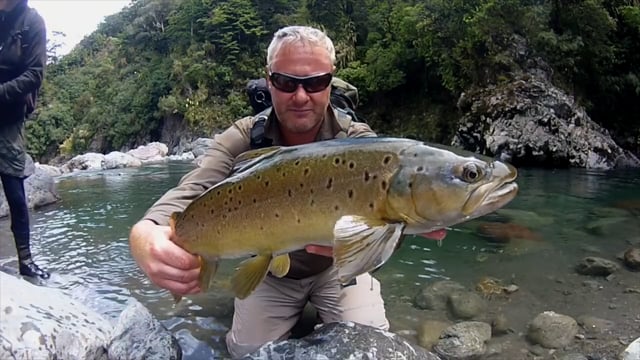 New Zealand Strike Indicator Tool Kit