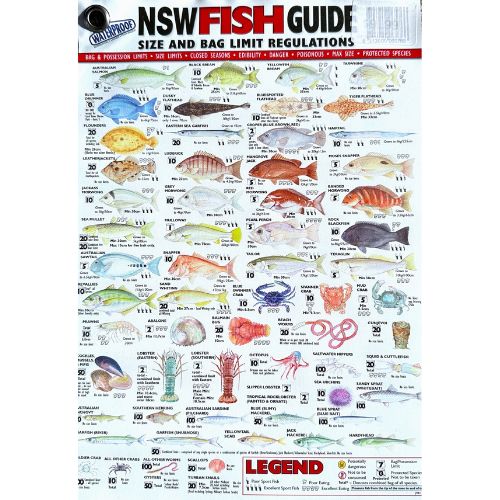 afn-nsw-fish-id-chart