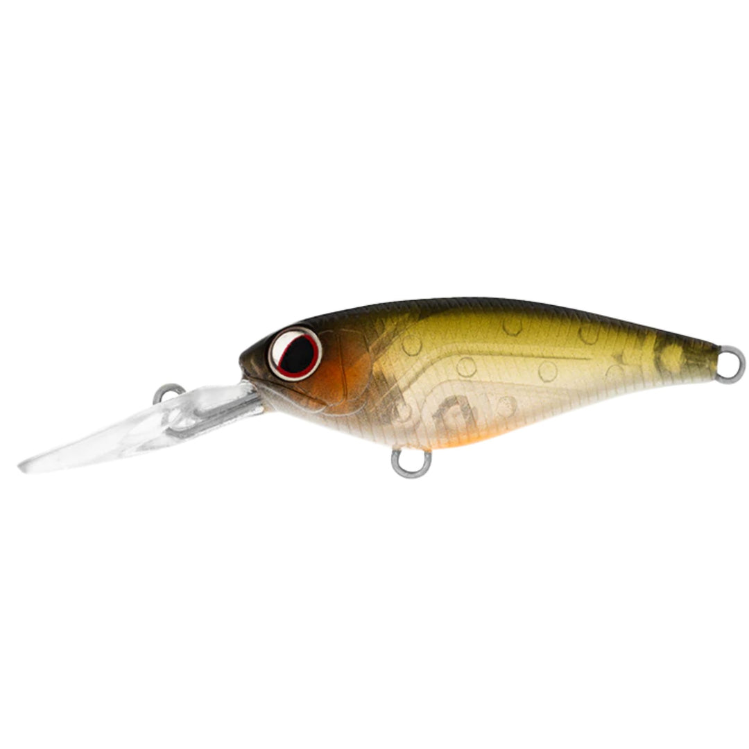 Daiwa Infeet Kodachi 40Sf