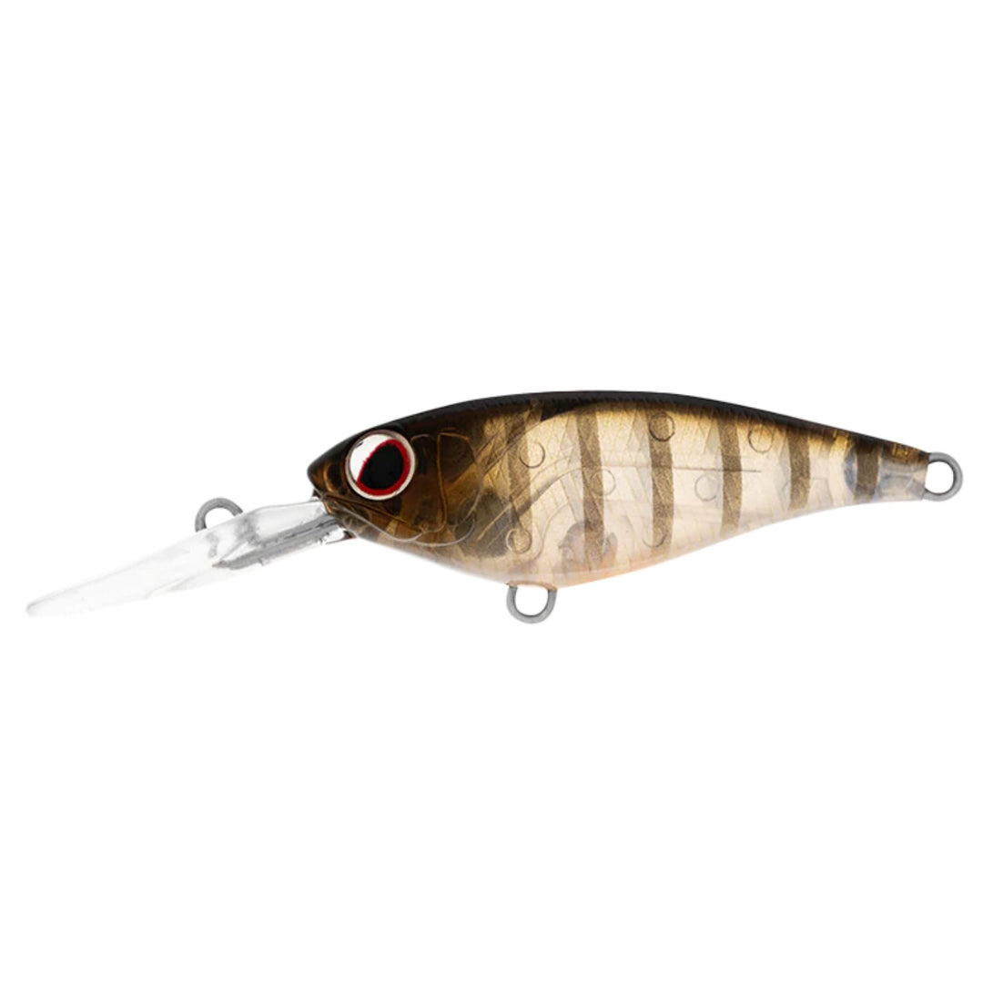Daiwa Infeet Kodachi 40Sf