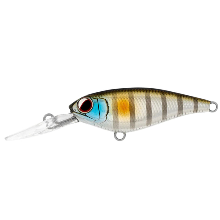 Daiwa Infeet Kodachi 40Sf