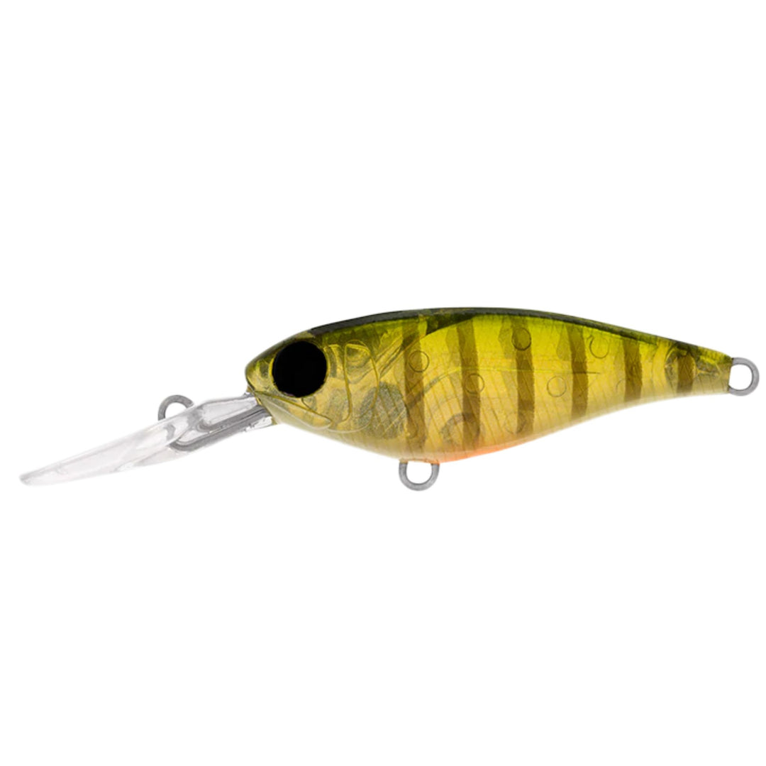 Daiwa Infeet Kodachi 40Sf