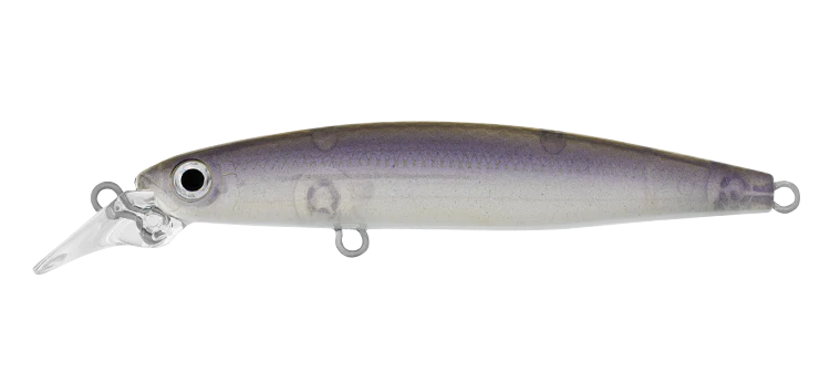 Daiwa Infeet Sazanami