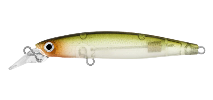 Daiwa Infeet Sazanami