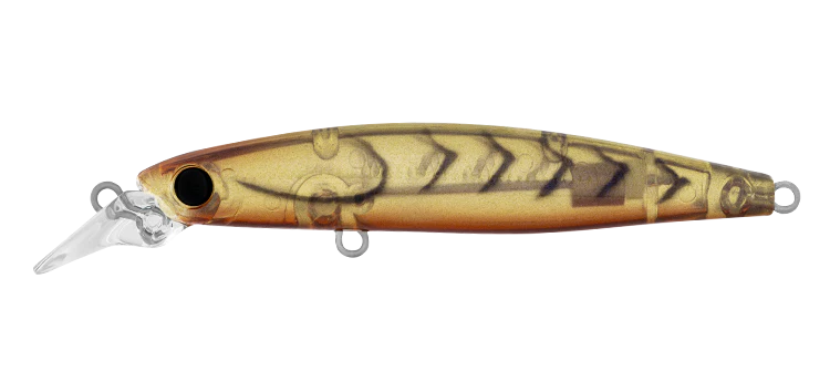 Daiwa Infeet Sazanami