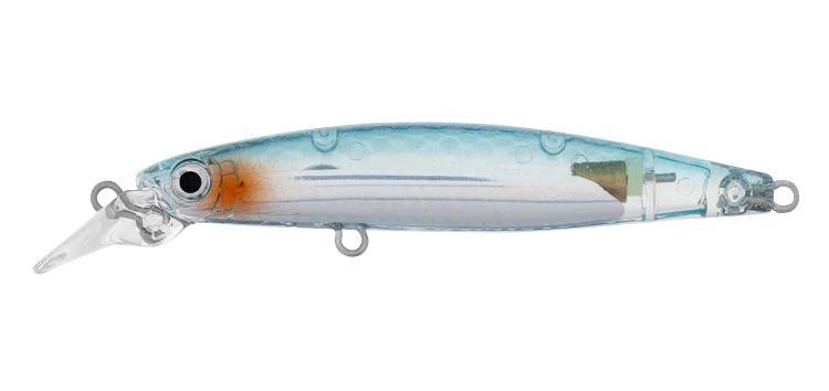 Daiwa Infeet Sazanami