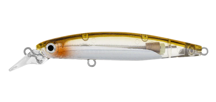 Daiwa Infeet Sazanami