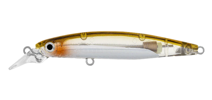 Daiwa Infeet Sazanami