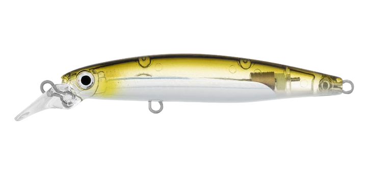 Daiwa Infeet Sazanami