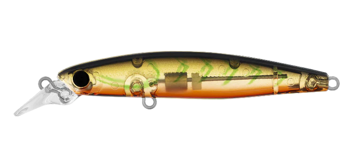 Daiwa Infeet Sazanami